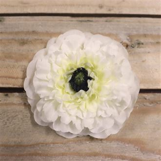 Květ cínie krémová, 12 ks 371195-26
