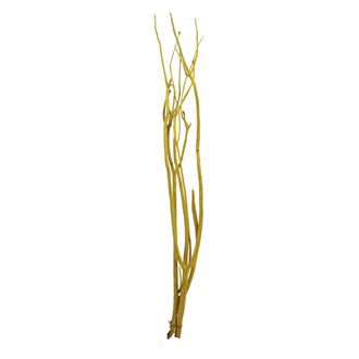 větve Mitsumata 3ks-sv. 80cm - žluté 381986-02