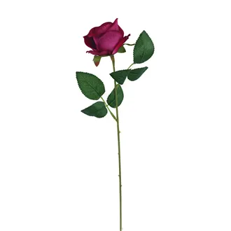 Růže bordó X5791-09